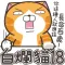 白爛貓18 超８７